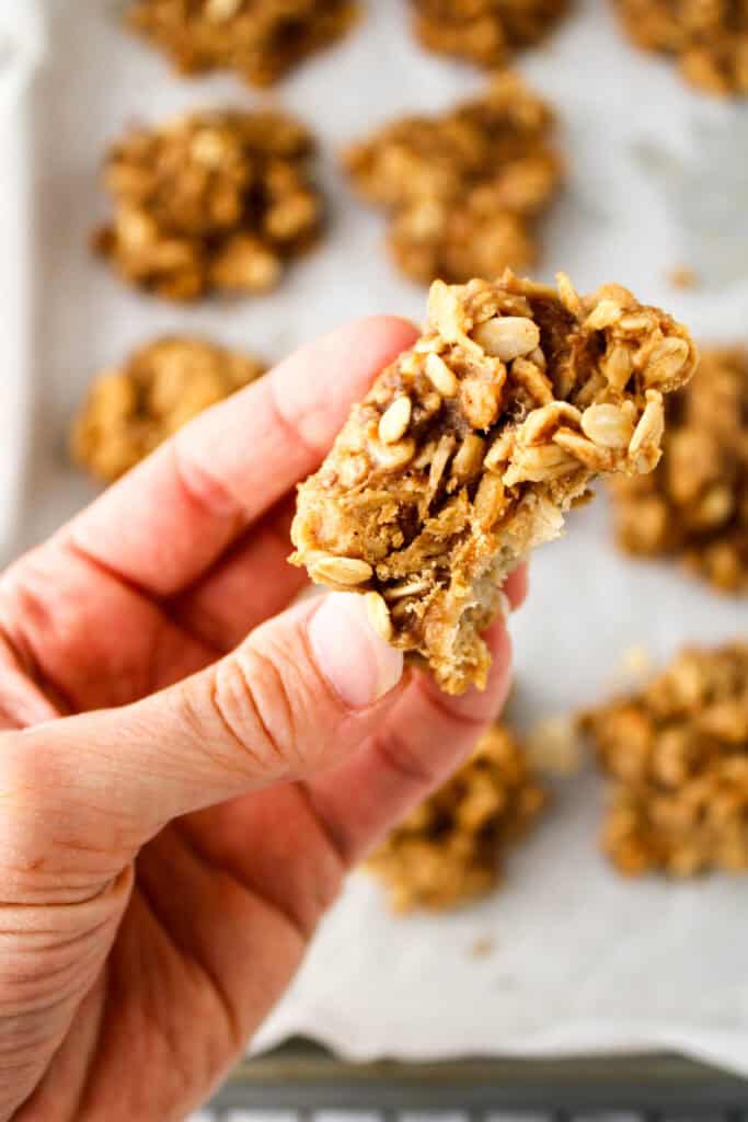 Holding a 3 Ingredient peanut butter banana oatmeal cookie.