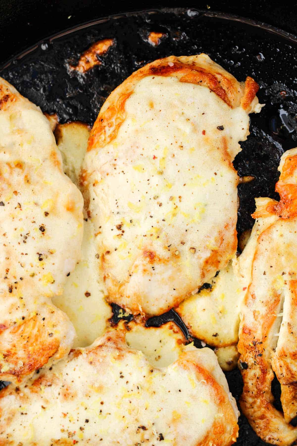 Cast iron skillet-seared chicken breasts with lemon greek yogurt sauce.