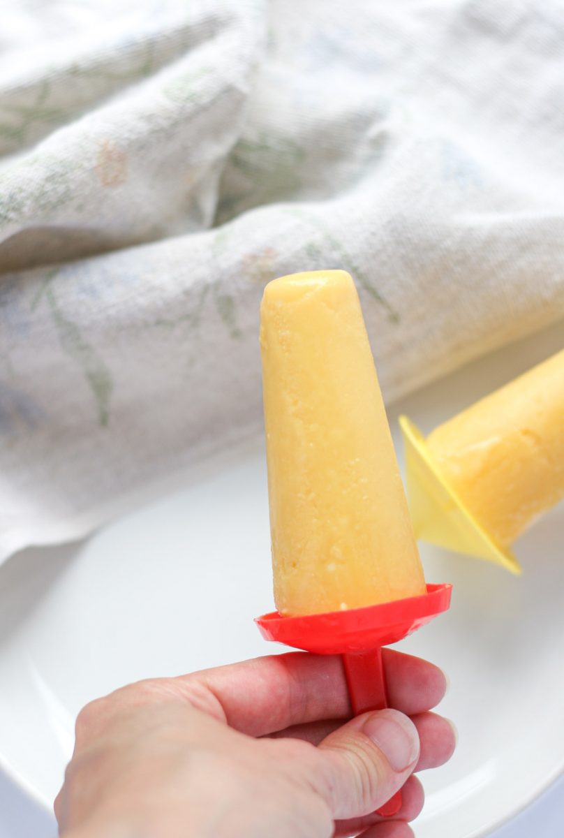 Holding a Simple 2-Ingredient Greek Yogurt Summer Popsicles in a red popsicle holder.