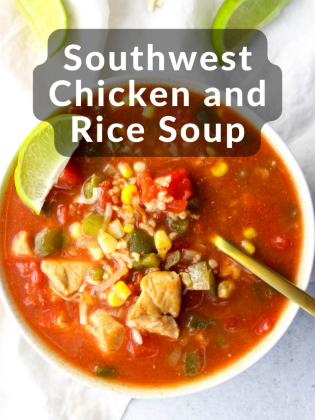 Southwest Chicken and Rice Soup Recipe Eats by April
